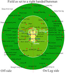 Cricket Still Rules